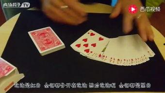 国产扑克视频大全在线看,视频大全在线观看，精彩瞬间一网打尽