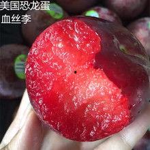 国产进口李子视频,口感、营养与价格全面解析