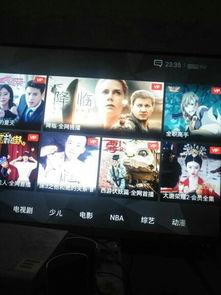 国产长虹加油视频,国产家电品牌的崛起与奋进