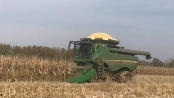 国产苞米收割机视频大全,创新科技助力农业现代化