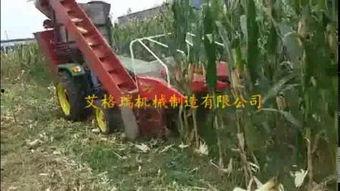 国产苞米收割机视频大全,创新科技助力农业现代化