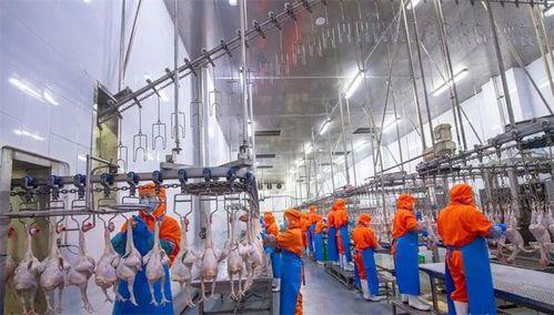 国产最牛加工中心视频,揭秘最牛加工中心震撼视频