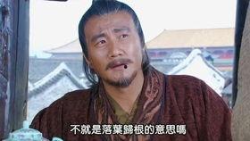 全集解说国产网剧视频大全,网剧盛宴，尽收眼底