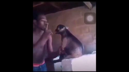 国产醉酒视频搞笑版下载,笑料横生，下载狂欢  第1张