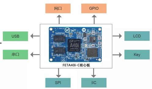 国产真有猴子吗知乎视频,国产视频中猴子的真实存在之谜  第2张