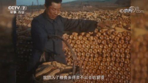 真实熟睡国产乱子伦视频  第2张