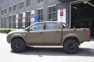 国产最美皮卡改装视频  第2张